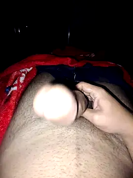 Snapshot of nidansohib1230 chatting on 11/04/25, 04:55 nidansohib1230 online show from 11/04/25, 04:55