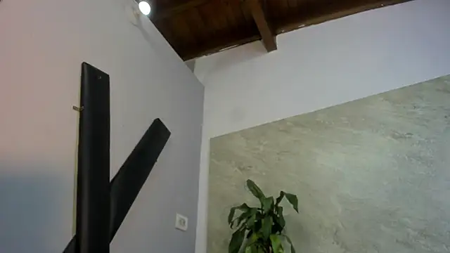 ada-brooke online show from 12/29/24, 05:42