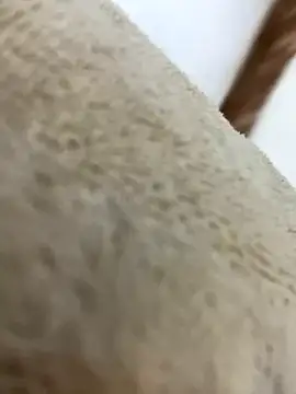 mjnas online show from 12/04/24, 08:12