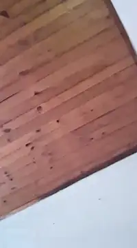 Snapshot of DANIELA_MICHEL chatting on 01/19/25, 08:41 DANIELA MICHEL online show from 01/19/25, 08:41