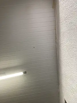 Snapshot of luara1988 chatting on 10/23/25, 10:58 luara1988 online show from 10/23/25, 10:58