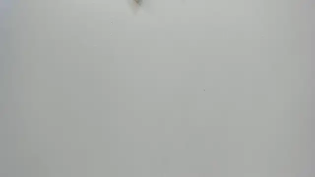Amy wats0n online show from 01/08/25, 07:03