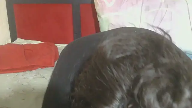 MaximTease24 online show from 06/12/26, 10:41