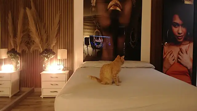 Sam mansson66 online show from 11/14/25, 02:27