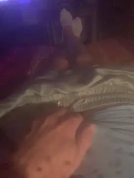 Snapshot of solomec chatting on 10/13/25, 08:42 solomec online show from 10/13/25, 08:42