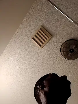 Snapshot of willywonka7793 chatting on 03/03/25, 04:56 willywonka7793 online show from 03/03/25, 04:56