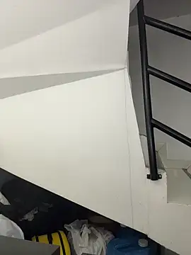 Snapshot of Annie9_ chatting on 11/29/25, 03:53 Annie9 online show from 11/29/25, 03:53