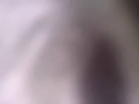 Snapshot of pantomax chatting on 09/20/25, 08:48 pantomax online show from 09/20/25, 08:48