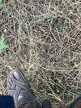 Snapshot of tamil000000 chatting on 03/11/25, 01:37 tamil000000 online show from 03/11/25, 01:37