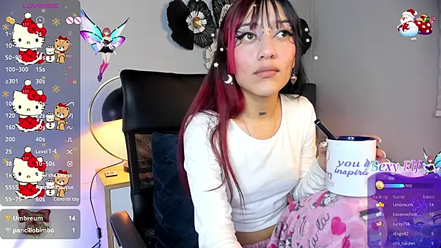 stormyy 22 online show from 12/29/24, 08:22