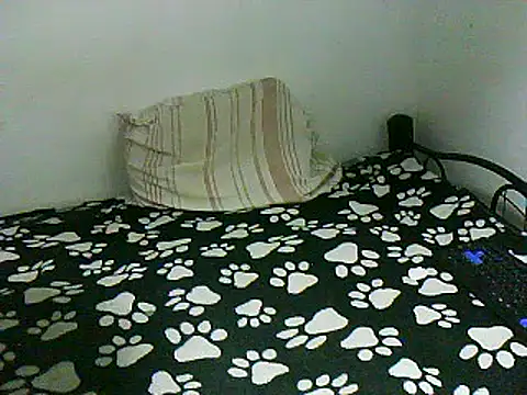 dani07- online show from 01/08/25, 01:53