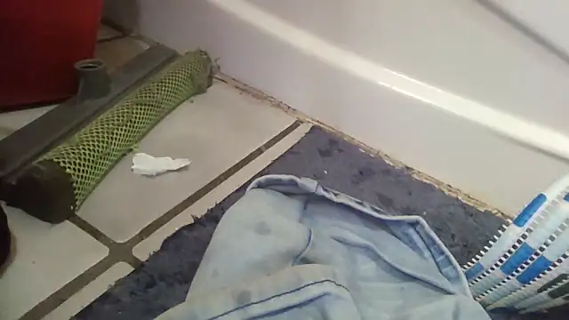 CandiedPompano online show from 11/20/25, 03:18