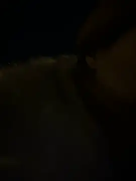 babydolll online show from 12/11/24, 08:18