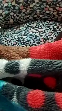 Snapshot of houda_sex_hot chatting on 02/28/25, 11:12 houda sex hot online show from 02/28/25, 11:12