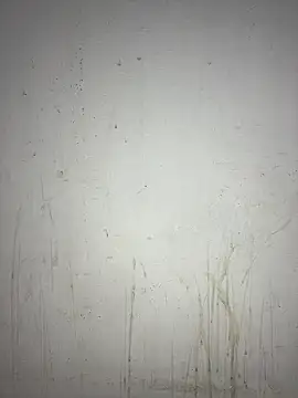 poision51 online show from 01/27/25, 06:30