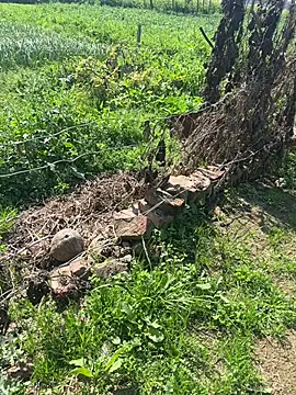 poision51 online show from 02/23/25, 07:55