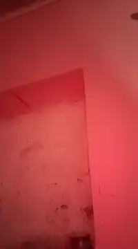 Snapshot of sosarax chatting on 01/30/25, 11:22 sosarax online show from 01/30/25, 11:22