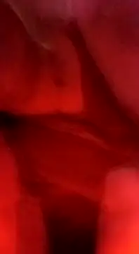 Snapshot of sosarax chatting on 02/05/25, 03:20 sosarax online show from 02/05/25, 03:20