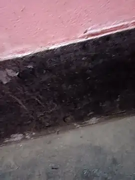 ScopalOr online show from 02/03/25, 07:40