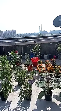 Sneha gril online show from 02/08/25, 07:37