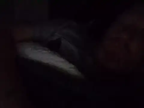 muffgoldcock online show from 12/25/24, 10:37