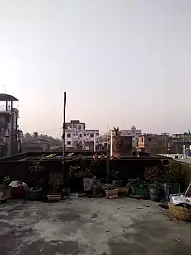 Jeetshine 1234 online show from 12/12/24, 01:32