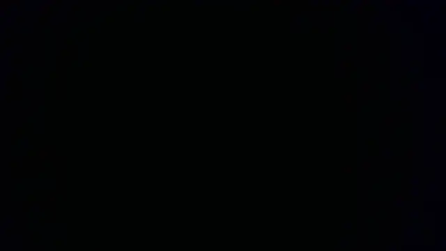 W N G S online show from 10/15/25, 08:20