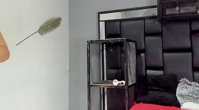 NovaMicheel online show from 12/04/24, 06:55