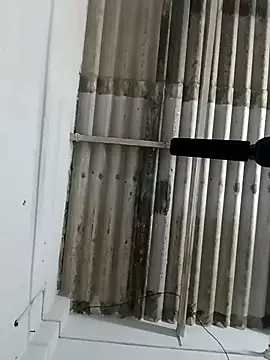 Sex-Nia online show from 12/19/24, 04:57