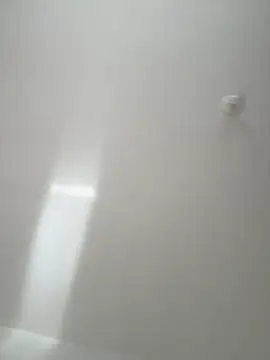 Morguisssz online show from 11/20/25, 10:37