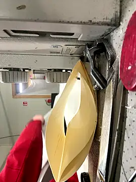 Snapshot of Mustafa-231 chatting on 11/28/25, 02:42 Mustafa-231 online show from 11/28/25, 02:42