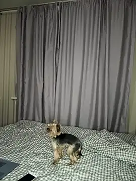 Snapshot of Cute_Barbieee_ chatting on 12/06/24, 10:08 Cute Barbieee online show from 12/06/24, 10:08