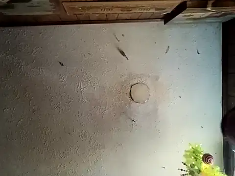 Snapshot of realoneNocap chatting on 11/12/25, 05:57 realoneNocap online show from 11/12/25, 05:57