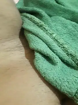 Snapshot of magro-dlc chatting on 12/11/24, 03:13 magro-dlc online show from 12/11/24, 03:13