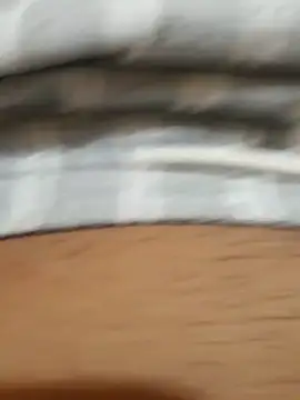 Snapshot of magro-dlc chatting on 12/11/24, 07:14 magro-dlc online show from 12/11/24, 07:14