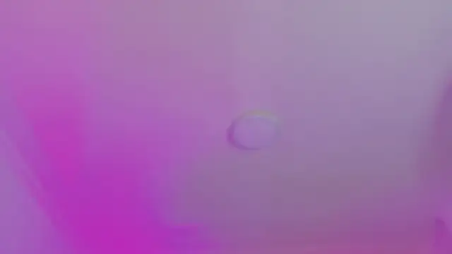 Snapshot of AlliJadid chatting on 11/19/25, 11:21 AlliJadid online show from 11/19/25, 11:21