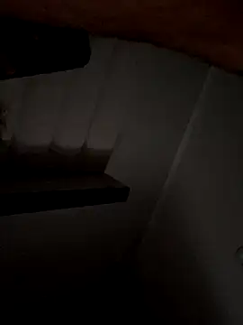 Snapshot of 69woodinson chatting on 11/13/25, 11:53 69woodinson online show from 11/13/25, 11:53