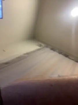 FrankJake99 online show from 11/05/25, 11:49