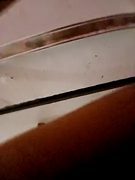 frotasso online show from 10/23/25, 11:14