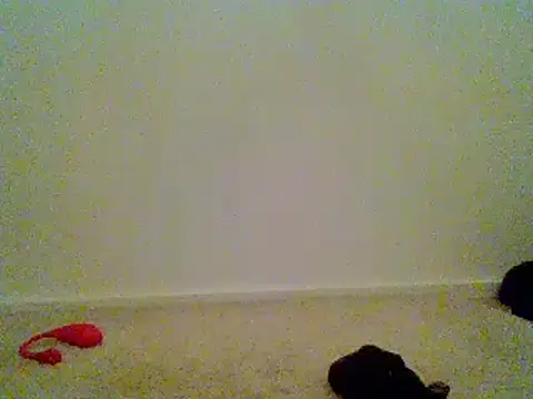 toy control online show from 12/11/24, 03:58