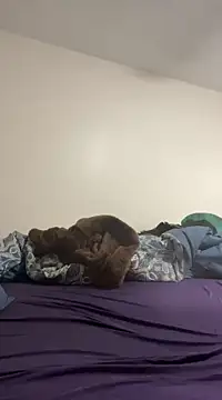 Snapshot of daddymaniaco69 chatting on 12/28/24, 04:52 daddymaniaco69 online show from 12/28/24, 04:52