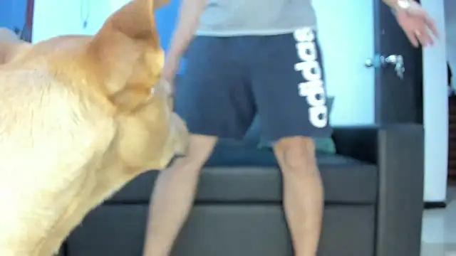 Snapshot of boss_of_cash chatting on 10/18/25, 01:30 boss of cash online show from 10/18/25, 01:30