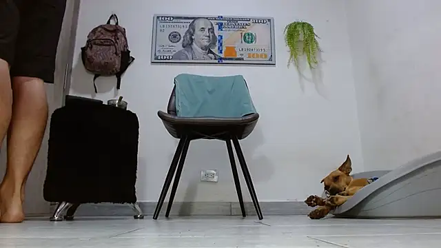 boss of cash online show from 06/04/26, 08:09