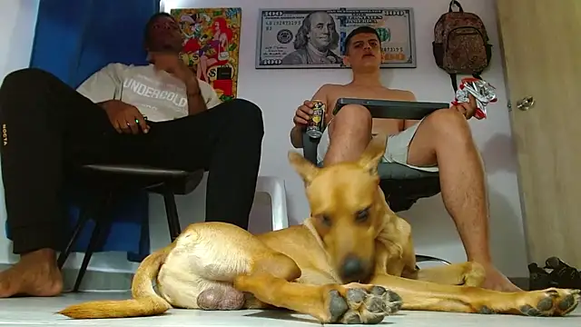 boss of cash online show from 07/14/26, 06:24