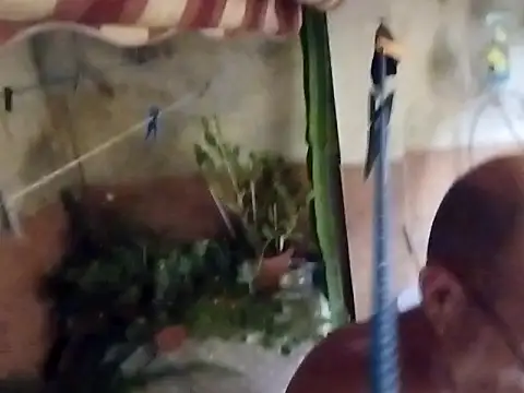 Snapshot of soy_5 chatting on 09/10/25, 08:53 soy 5 online show from 09/10/25, 08:53