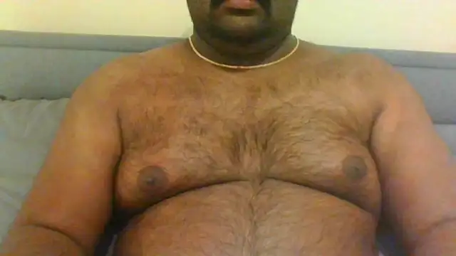 Snapshot of indianbearbot chatting on 01/09/25, 11:56 indianbearbot online show from 01/09/25, 11:56