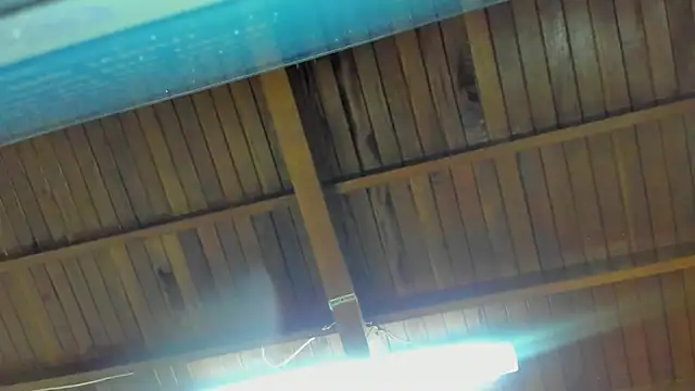 jeicob gagnon online show from 09/15/25, 02:00