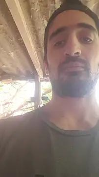 italianbighorse22 online show from 11/05/25, 05:13