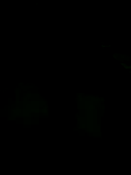 Snapshot of andreiwhite2_ chatting on 12/18/25, 12:06 andreiwhite2 online show from 12/18/25, 12:06