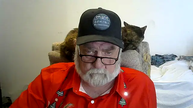 viejo oso online show from 12/14/25, 10:36